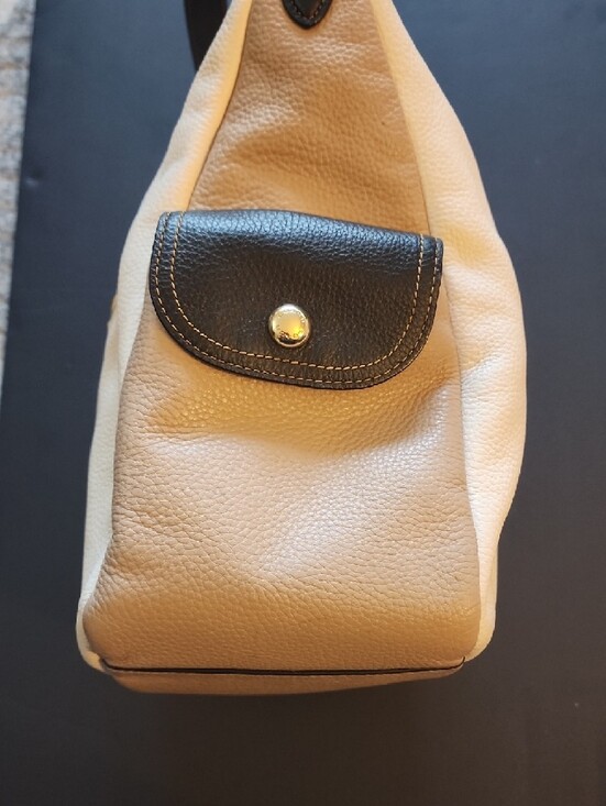 Coach Pennie Hobo Colorblock Leather Shoulder Bag.